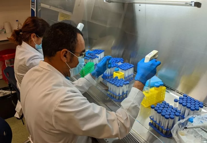 El centro tendrá carácter regional para el estudio de enfermedades que afectan a América Latina. Foto: Cortesía Senacyt