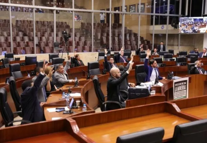 El pleno de  la Asamblea Nacional. Foto: Cortesía