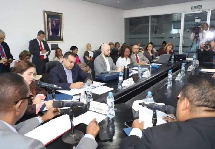 El documento destaca que la Cruz Roja Panameña colaborará con las autoridades nacionales, provinciales, municipales y locales.