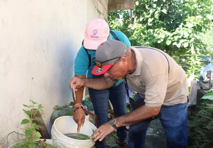 Recuerde eliminar todo recipiente que pueda acumular agua y servir de reservorio. Foto: Cortesía/Minsa 