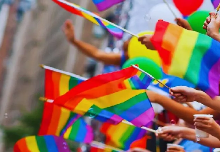 El decreto 332 de 2008  tumbaba la ley de 1949  que penalizaba la sodomía. 