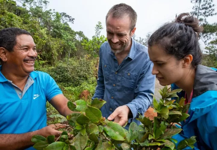 La ex pasante de STRI, Daniela Cala, y el botánico de STRI, Jorge Aranda, fueron coautores de un artículo, junto con el científico de STRI, Martijn Slot. Foto: Cortesía/ Jorge Alemán