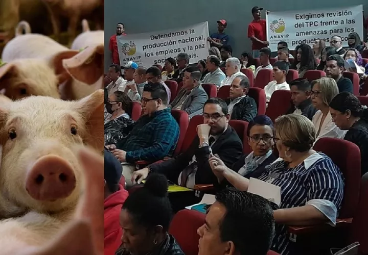 Representantes de Anapor y Anavip expresaron sus preocupaciones este miércoles en la Asamblea Nacional. Foto: Víctor Arosemena