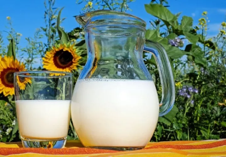 La leche es fuente de proteína.  Foto: Pixabay