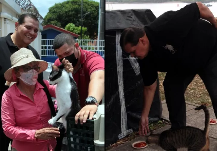 Más cuidado y atención médica para las mascotas proponen políticos. Cortesía