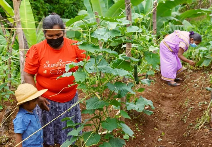 Dirigente recalca que en las comarcas hay oportunidades para emprender, solo es cuestión de atreverse. Foto: Cortesía/FAO