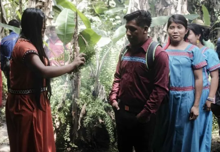Cerca de 3,200 indígenas ngöbe-buglé viven en unas 10 comunidades del cantón de Coto Brus, provincia de Puntarenas, en el sur de Costa Rica. Foto: EFE