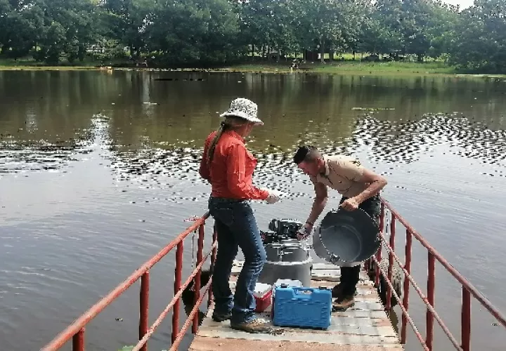 La pasada semana se tomaron muestras de agua para analizarlas y saber el grado de contaminación que pudiera tener. Foto. Thays Domínguez