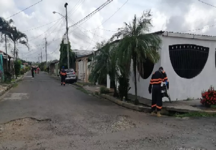 El Minsa insiste en la importancia de mantener la limpieza en los hogares y lugares de trabajo como medida fundamental para prevenir la extinción del mosquito transmisor del dengue. Foto. Eric Montenegro
