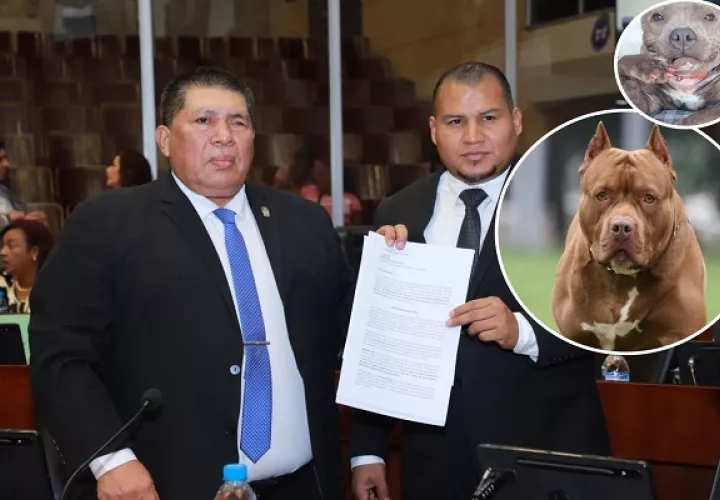 Abel Beker propuso este jueves el anteproyecto de ley que regula la tenencia de pitbulls en Panamá. Foto: Cortesía AN