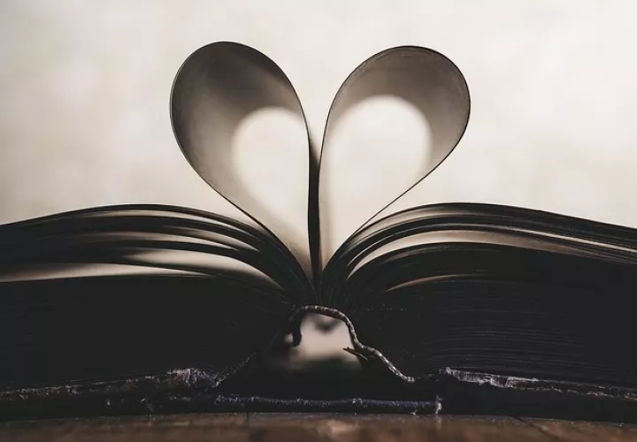 La presentación de una obra a concurso implica la aceptación tácita de estas bases. Foto: Ilustrativa/Pixabay
