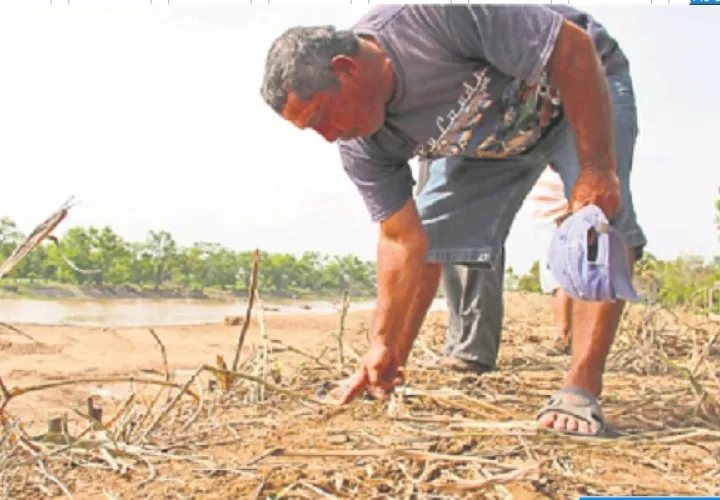 Las sequías  son especialmente preocupantes por su naturaleza cíclica, alerta OCHA. Cortesía