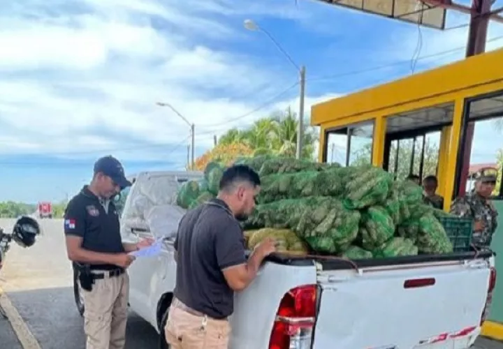 MIDA y Aduanas intensifican lucha para frenar el contrabando  agrícola. Foto: Cortesía/Mida