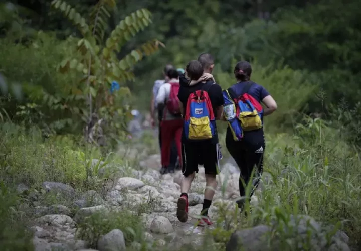 La mayoría de los migrantes que caminan por trochas en la selva del Darién son venezolanos. Foto: EFEn (Panamá)