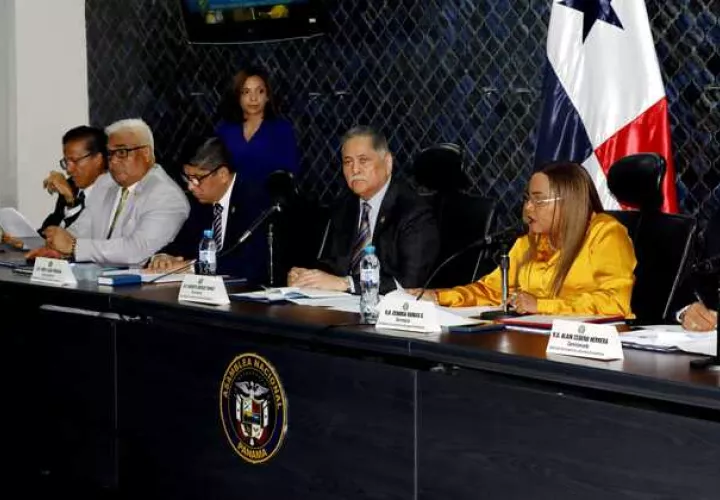 Comisión de Comercio  pide al órgano Ejecutivo considerar sugerencias. Foto: Víctor Arosemena