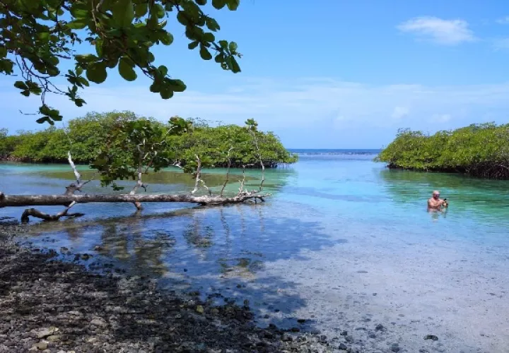 Tanta belleza debe ser compartida con toda la familia, así pasar un buen rato en contacto con la belleza natural de Portobelo y sus poblaciones circundantes. FOTO/DIOMEDES SÁNCHEZ