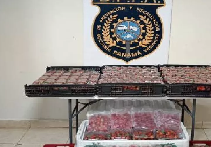 Tanto las fresas como los cigarrillos incautados fueron trasladados a la sede la Autoridad Nacional de Aduanas (ANA) en la ciudad de David, a fin de continuar con el proceso. Foto. Cortesía Aduanas