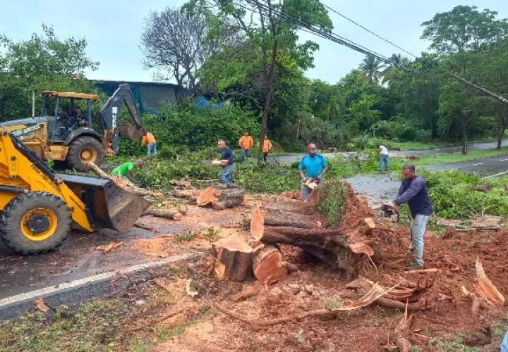 En las provincias de Herrera y Los Santos este viento fue percibido, principalmente en áreas costeras. Foto. Thays Domínguez