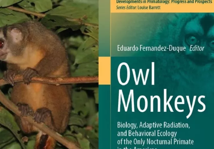 La obra expone la biología, radiación adaptativa y ecología del comportamiento del único primate nocturno de las Américas. Cortesía
