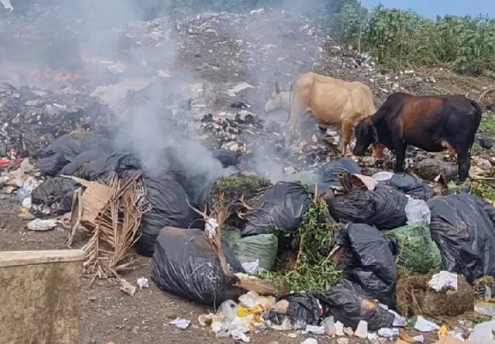 Los moradores, precisan que han mandado una infinidad de notas a la Autoridad de Aseo, que por ley le compete velar por los vertederos y no han tenido respuesta. Foto. Thays Domínguez