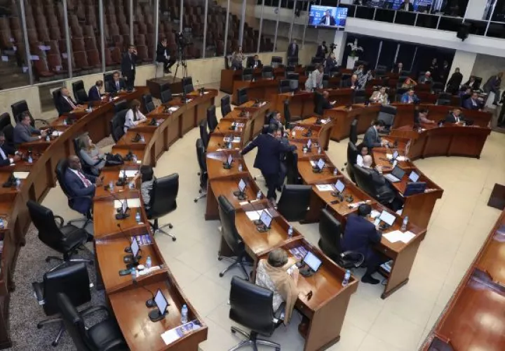 Pleno de la Asamblea Nacional. Foto: Cortesía