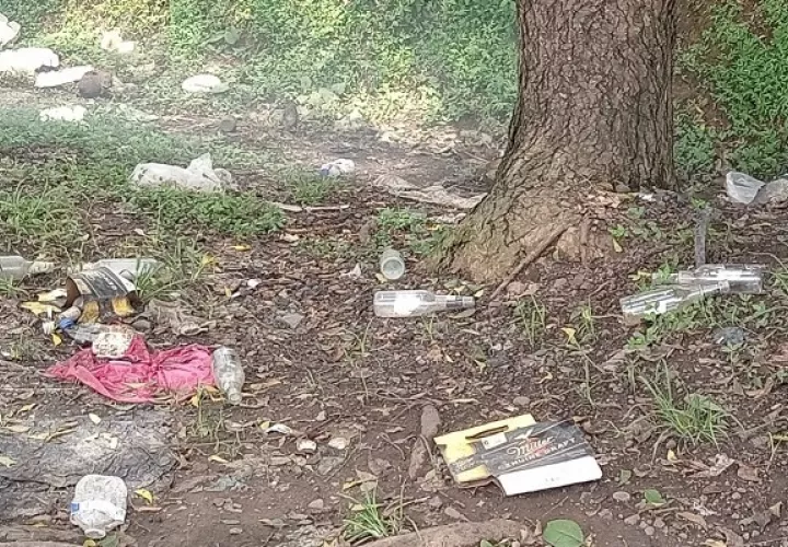  Los desperdicios han sido dejados por personas desconocidas. Foto: Melquiades Vásquez