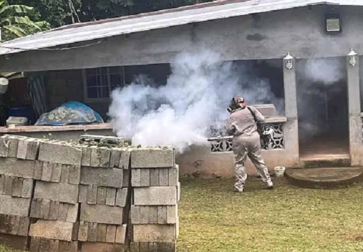 El Minsa insta a contribuir con la eliminación de los criaderos de mosquitos. Foto: Diomedes Sánchez 