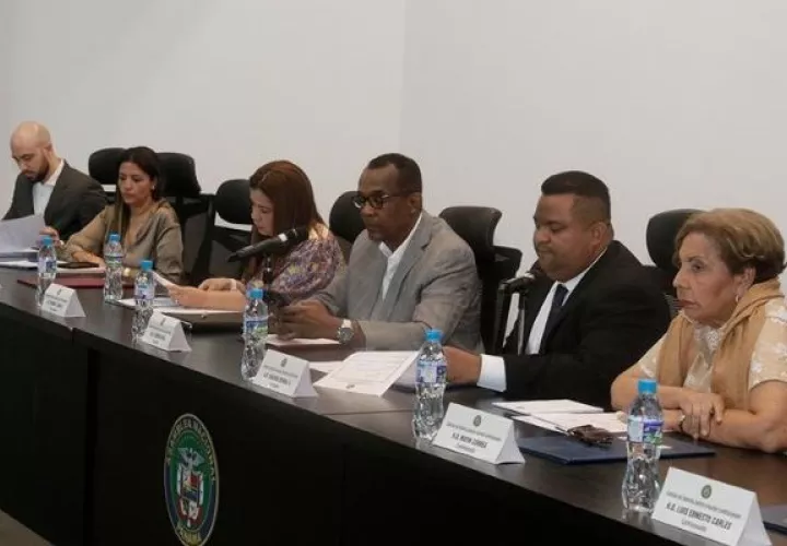 Comisión de Gobierno, Justicia y Asuntos Constitucionales de la Asamblea Nacional. Foto: Cortesía