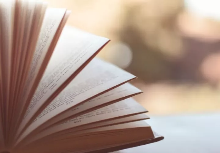 Este galardón de literatura fue instituido en 2019 por la Fundación Panamá Negro. Foto: Pixabay/Ilustrativa