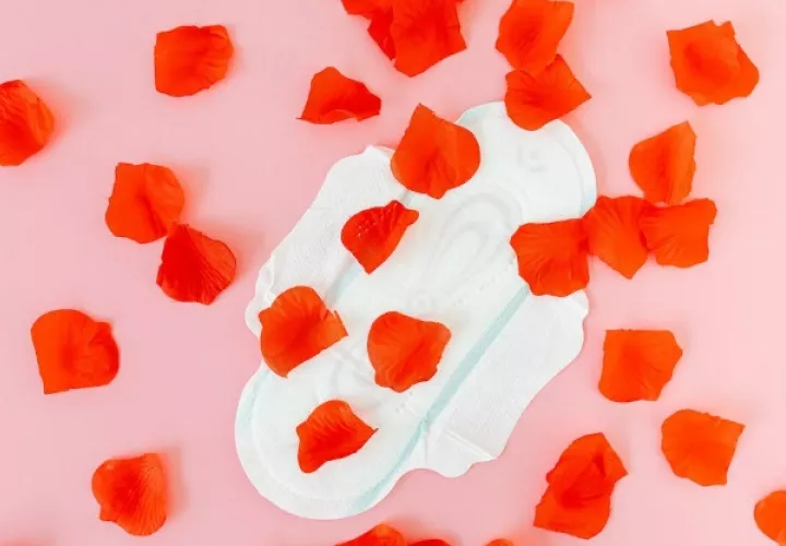 El sangrado menstrual puede presentarse cada 21 a 35 días. Foto: Pixabay