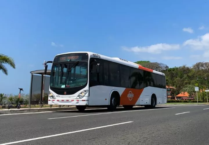 El metrobús llegó a tener 1,200 unidades. Foto: Cortesía MiBus