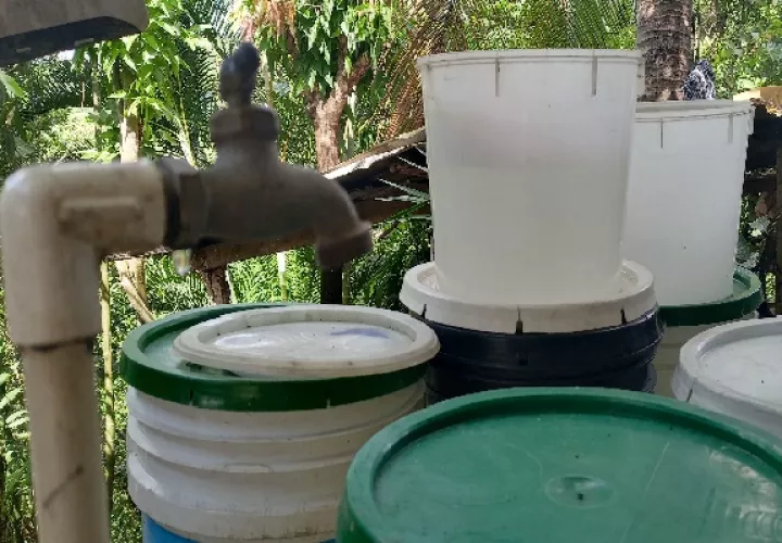 El objetivo de la reforestación es garantizar un suministro de agua constante y de buena calidad, además de frenar el deterioro de los suelos y la desaparición de plantas y animales. Foto. Eric Montenegro