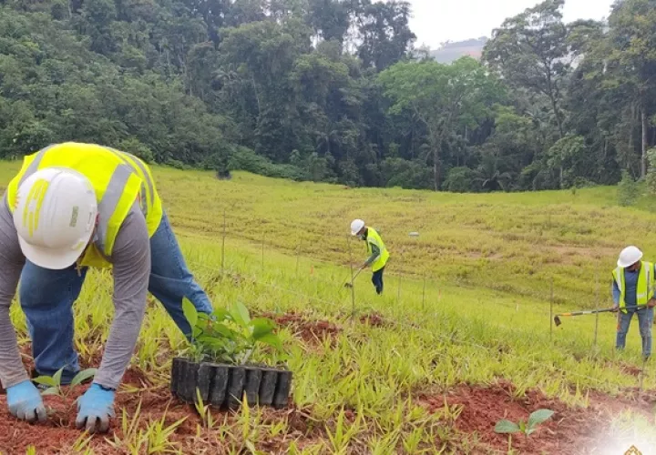 El Gobierno recalca que el contrato tiene importantes compromisos ambientales. Foto: Cortesía