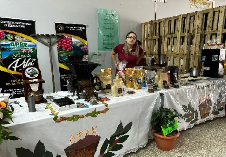 Tierras Altas también ocupa un sitial importante en la producción del cotizado café Geisha, que obtiene precios impresionantes. Foto. José Vásquez