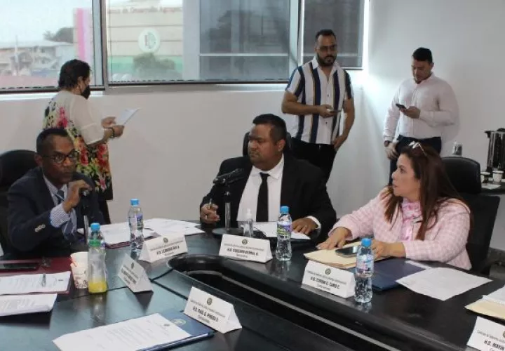 Comisión de Gobierno, Justicia y Asuntos Constitucionales de la Asamblea Nacional. Foto: Cortesía