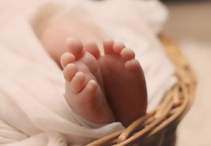 Una correcta atención de los recién nacidos prematuros puede llegar a salvar a 900 mil bebés. Foto: Pexels