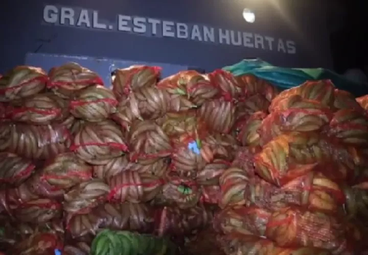 En la embarcación L-402 general Esteban Huertas, fueron trasladadas más de 800 cajas de plátanos de Bocas del Toro a Colón. Foto. Senan  