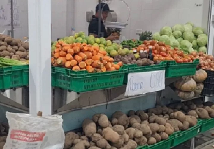 Repollo, lechuga, apio, pepino, zanahoria, plátanos, pepino y remolacha, es parte de lo que se trajo por tierra. Foto. Thays Domínguez,