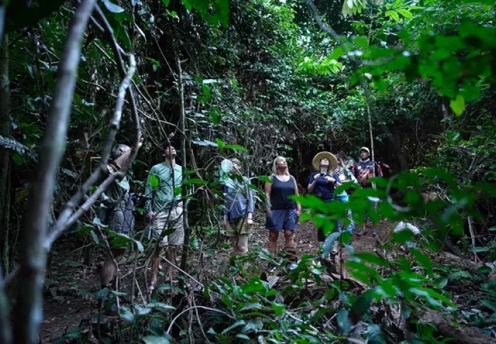 El occidente del país registra  el mejor puntaje de inglés. Foto: Cortesía