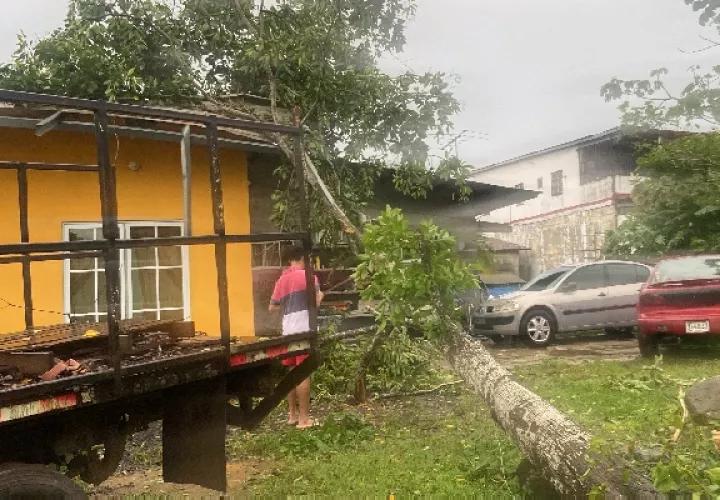 Una residencia afectada por la caída de un árbol. Foto. Eric Montenegro