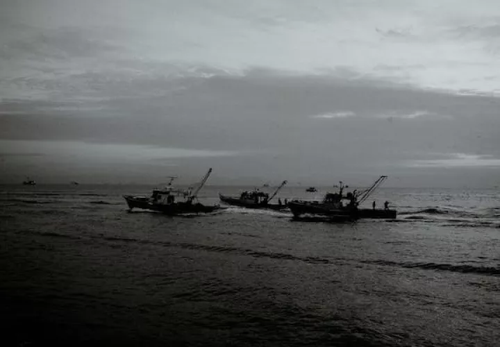 La Ley de Pesca fue sancionada hace dos años. Foto ilustrativa
