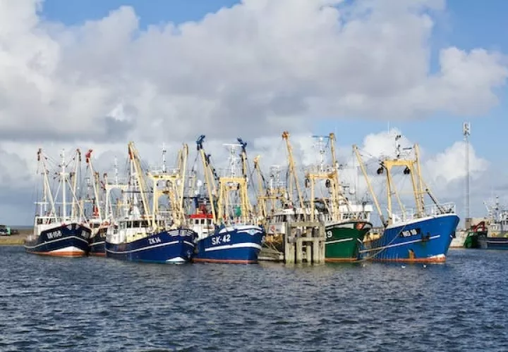 No solo en Panamá está en discusión este modelo de pesca, sino en varias naciones. Foto ilustrativa