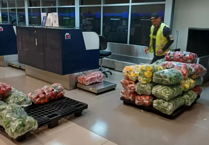 vegetales-aeropuerto_easy-resize.com_.jpg