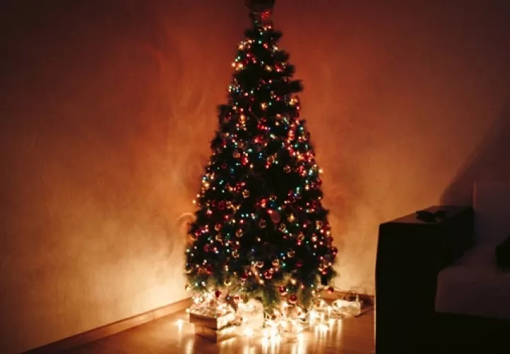Se suele decorar con esferas de colores, una estrella y luces. Foto: Ilustrativa / Pexels
