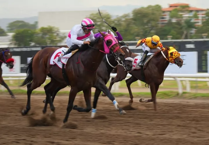  Blessed Ben Hur (6), Li Tre FRatelli  de Venezuela (cent) y El Rojo en la recta final deel Clásico del Caribe. Foto: Hipódromo Presidente Remón.