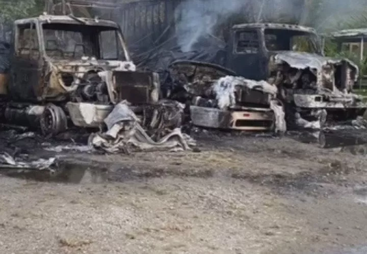 Dentro de los camiones había mercancía variada, cuyo valor supera los 20 mil dólares. Foto: Diomedes Sánchez.