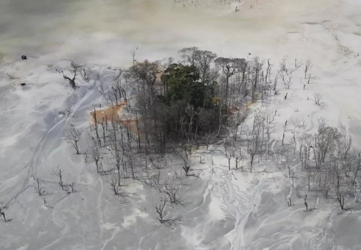 Cobre Panamá desea comprender la situación legal respecto a sus obligaciones ambientales correspondientes a esta fase. Foto: EFE