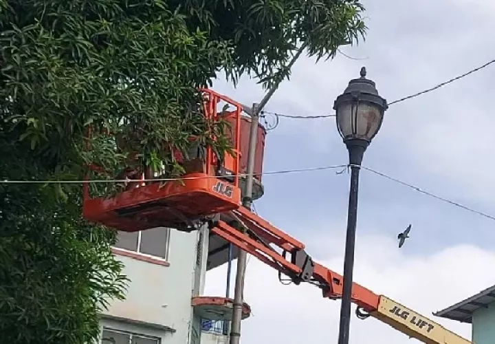 El municipio comenzó a decorar los parques de la ciudad de Coló. Foto. Diomedes Sánchez