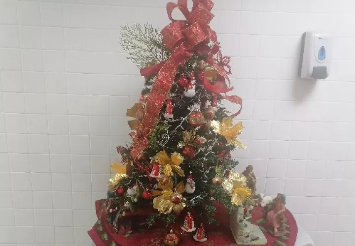 Los arbolitos de navidad naturales deben ser colocados en la parte frontal de la casa. Foto. Diomedes Sánchez
