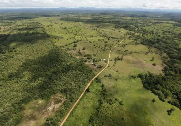  También se aclaró sobre la supuesta venta de tierra y titulación en Darién. Foto: Archivo